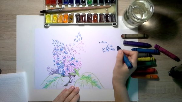 Рисование сирень восковыми мелками