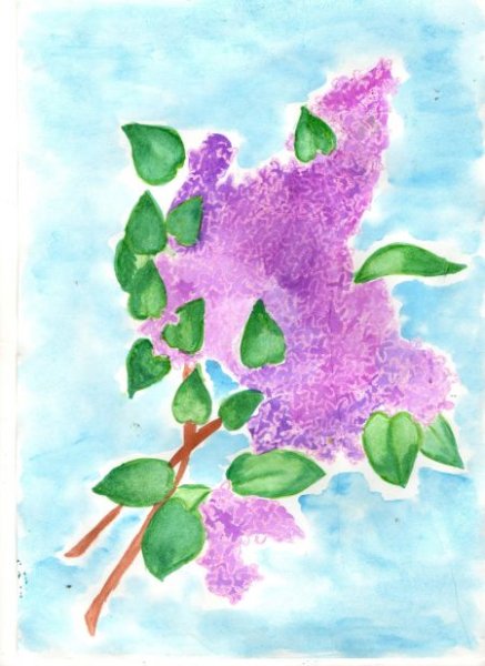 Сирень красками для детей