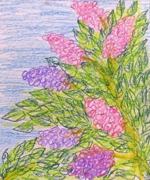 Рисунки восковыми мелками