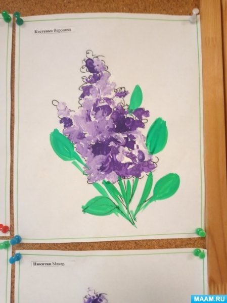 Рисование ветка сирени сирень Победы