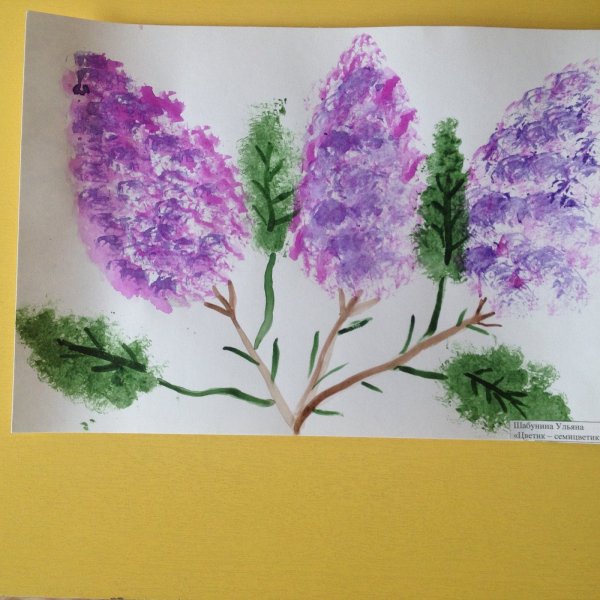Рисование сирень подготовительная группа