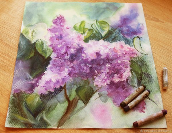 Сирень пастелью таткина