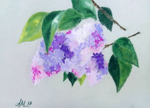 Ветка сирени рисование