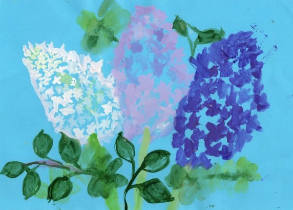 Нетрадиционные техники рисования сирень