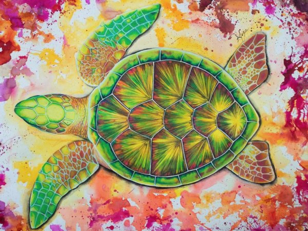 Морская черепашка арт