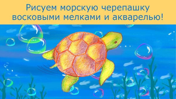 Черепаха восковыми мелками и акварелью