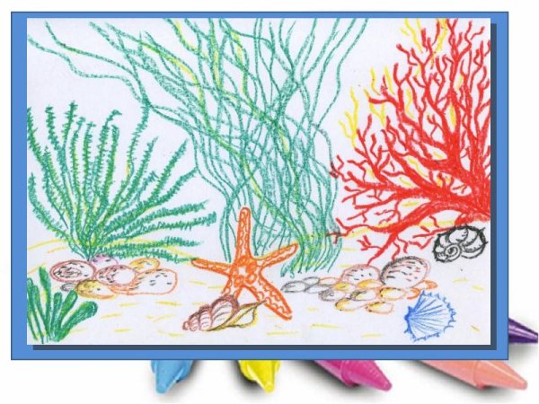 Подводный мир изо