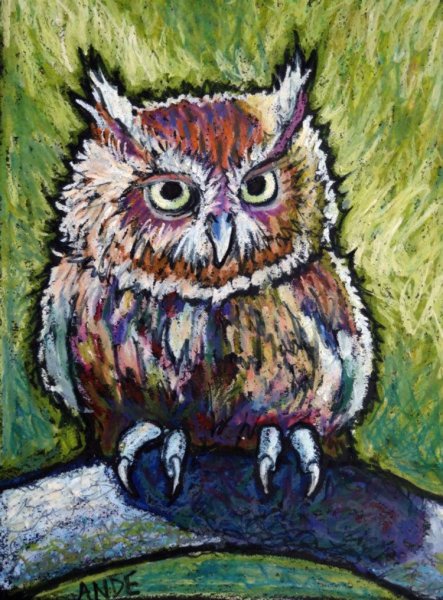 Сова масляной пастелью