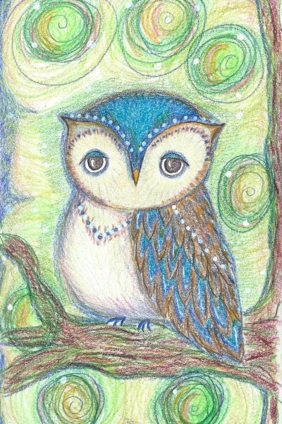 Совы для скетчбука