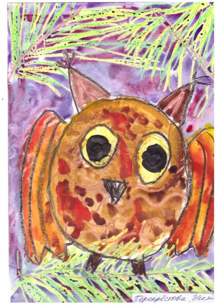 Сова восковыми мелками