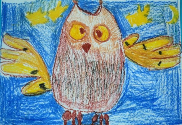 Рисование Сова в старшей группе