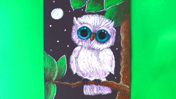 Рисуем совушку восковыми мелками для детей