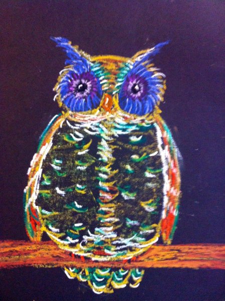 Полярная Сова пастелью