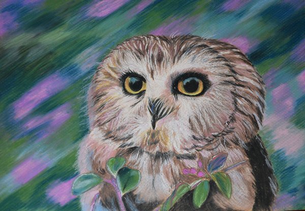 Сова масляной пастелью