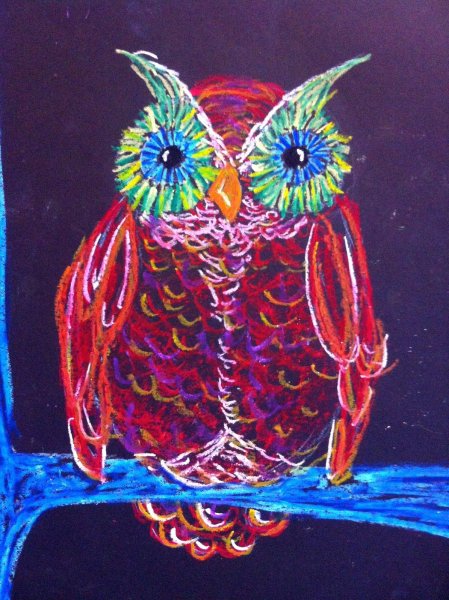 Филин в технике пастель