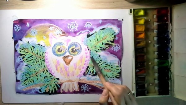 Сова мелками