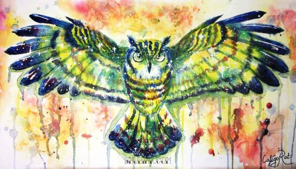 Сова гуашью