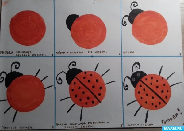 Рисование насекомые средняя группа