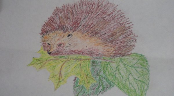 Рисуем восковыми мелками