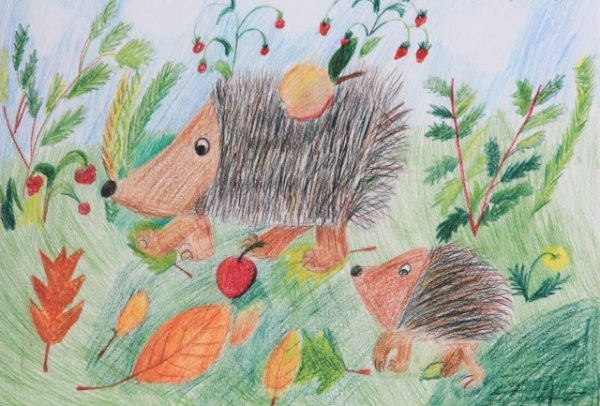 Рисование Ежи Ежовичи подготовительная группа Колдина