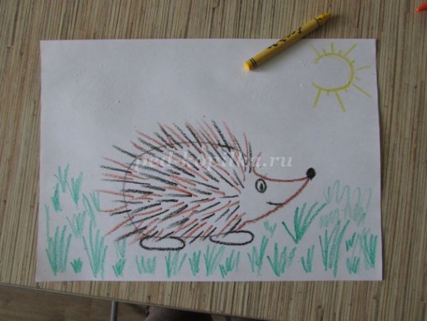 Рисование Ёжика в средней группе
