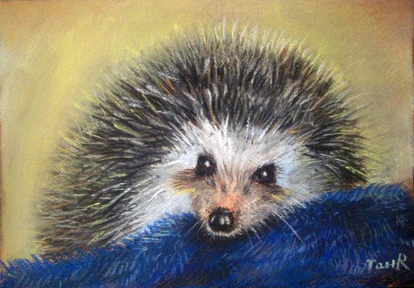 Животные пастелью