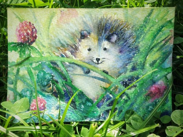 Ежик гуашью