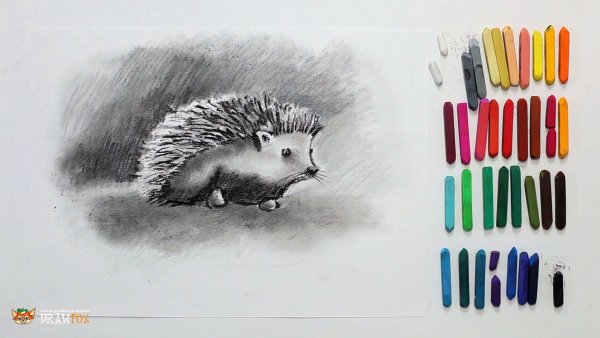 Масляная пастель Ежик