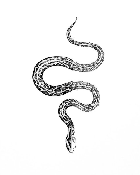 Тату змея маленькая