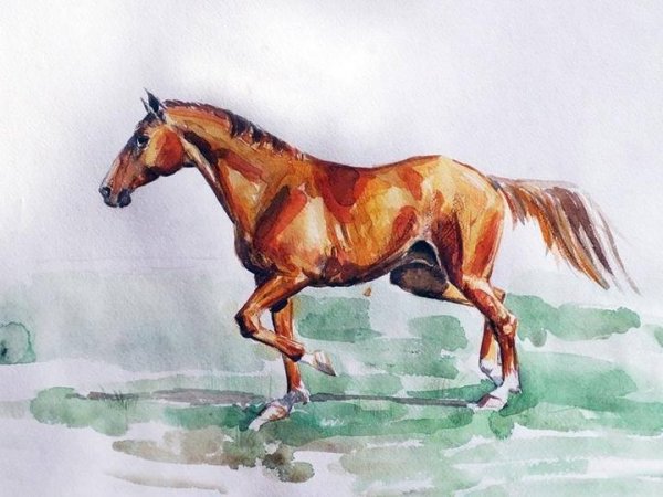 Конь гуашью