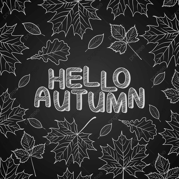 Листья на меловой доске