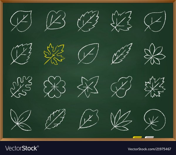 Осенние листья мелом на доске