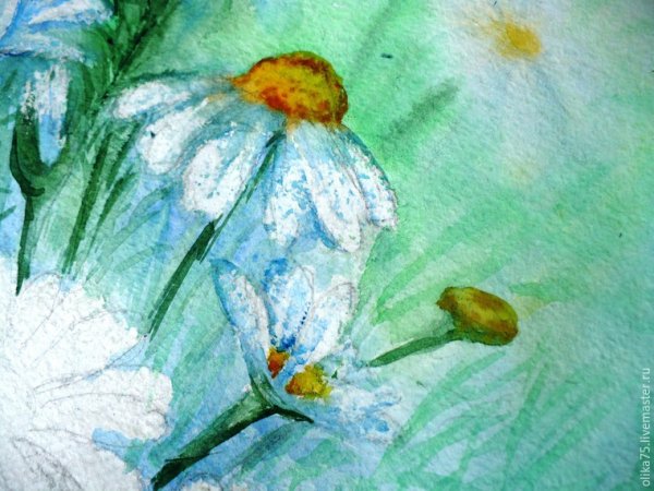 Рисование астры в вазе подготовительная группа