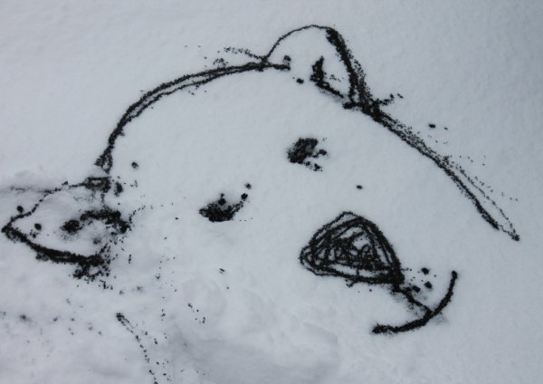 Рисование на снегу