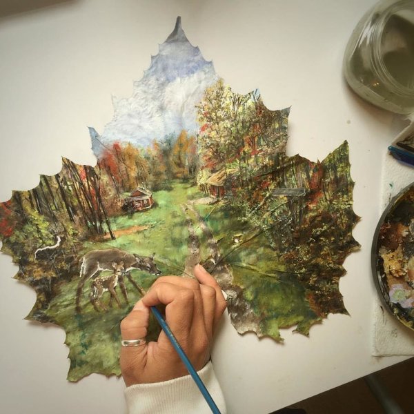 Жанет Роуз живопись на кленовых листьях