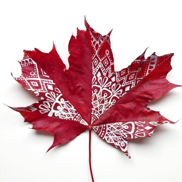 Роспись кленового листа