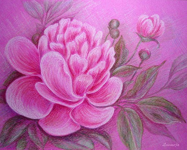 Цветы пастельными карандашами