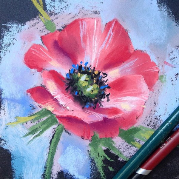 Цветы пастелью сухой