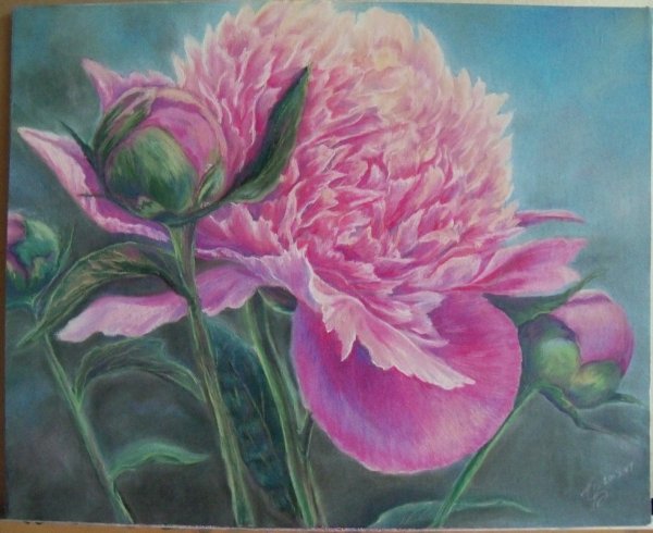 Крупные цветы пастелью