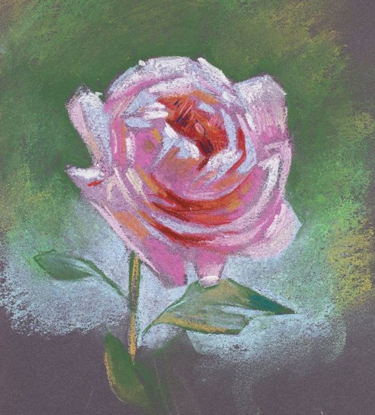 Цветы пастелью