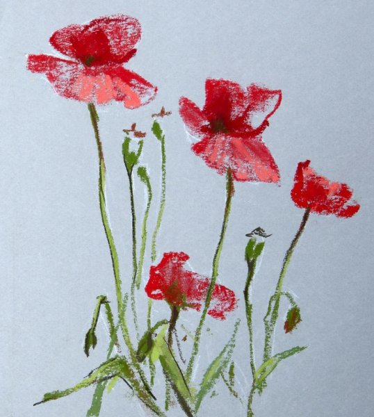 Елена таткина цветы пастелью