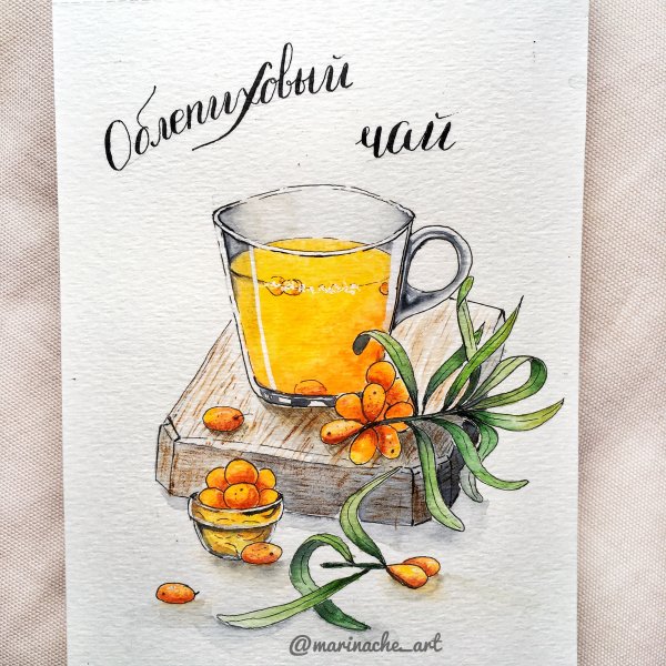 Облепиховый чай акварель