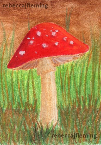 Рисование с детьми грибы