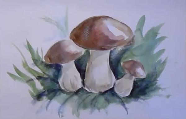 Грибы акварелью поэтапно