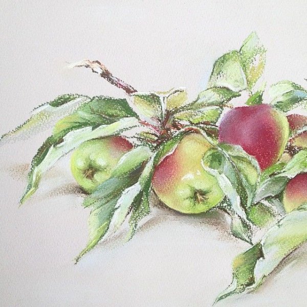 Елена Базанова акварель яблоки