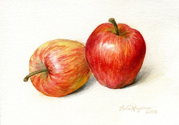 Фрукты акварельными карандашами