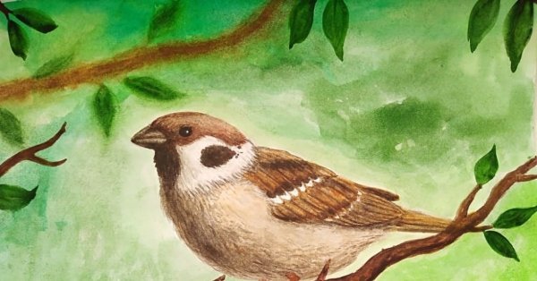 Воробей карандашом