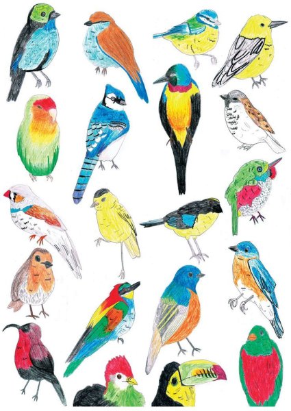 Птицы для вырезания цветные