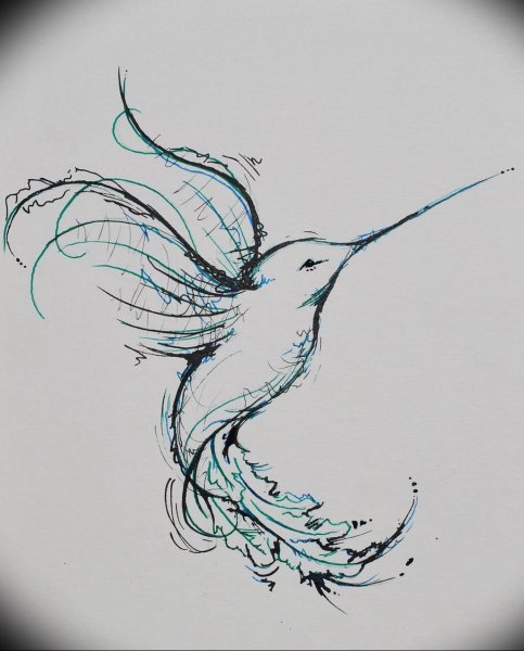 Скетч тату Колибри