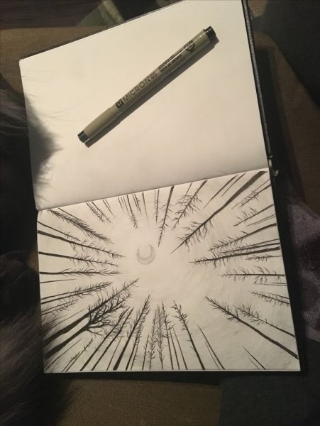 Рисунки графитным карандашом